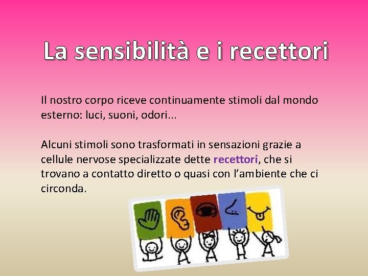 La sensibilità e i recettori Il nostro corpo riceve continuamente stimoli dal mondo esterno: