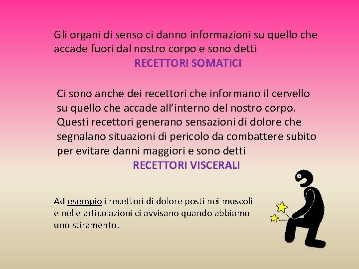 Gli organi di senso ci danno informazioni su quello che accade fuori dal nostro