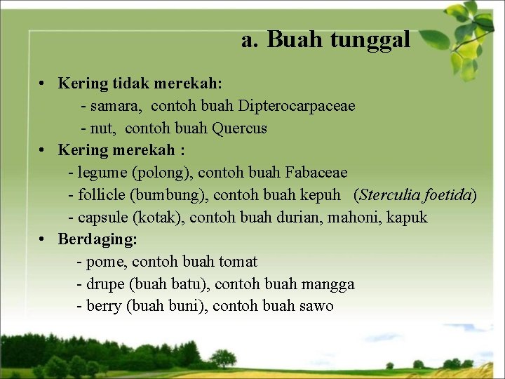 a. Buah tunggal • Kering tidak merekah: - samara, contoh buah Dipterocarpaceae - nut,