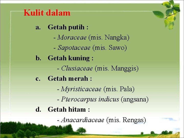 Kulit dalam a. Getah putih : - Moraceae (mis. Nangka) - Sapotaceae (mis. Sawo)