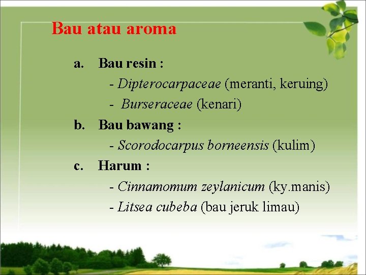 Bau atau aroma a. Bau resin : - Dipterocarpaceae (meranti, keruing) - Burseraceae (kenari)