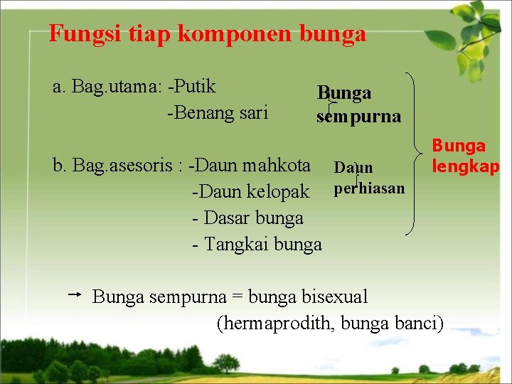 Fungsi tiap komponen bunga a. Bag. utama: -Putik -Benang sari Bunga sempurna b. Bag.
