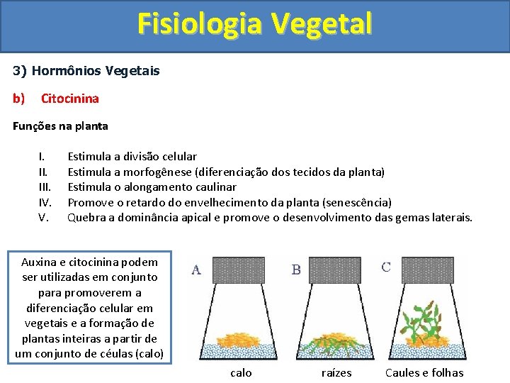 Fisiologia Vegetal 3) Hormônios Vegetais b) Citocinina Funções na planta I. III. IV. V.