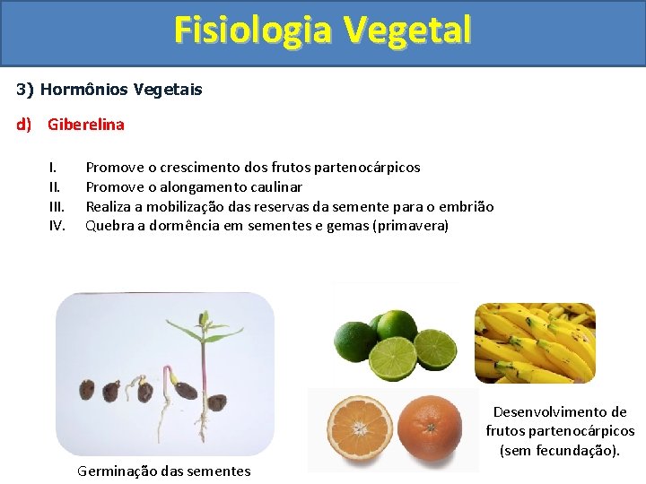 Fisiologia Vegetal 3) Hormônios Vegetais d) Giberelina I. III. IV. Promove o crescimento dos