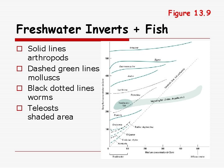 Figure 13. 9 Freshwater Inverts + Fish o Solid lines arthropods o Dashed green