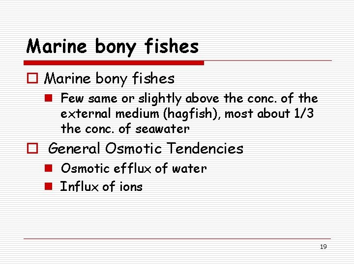 Marine bony fishes o Marine bony fishes n Few same or slightly above the