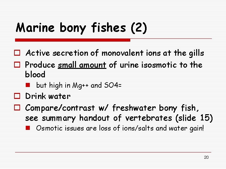 Marine bony fishes (2) o Active secretion of monovalent ions at the gills o