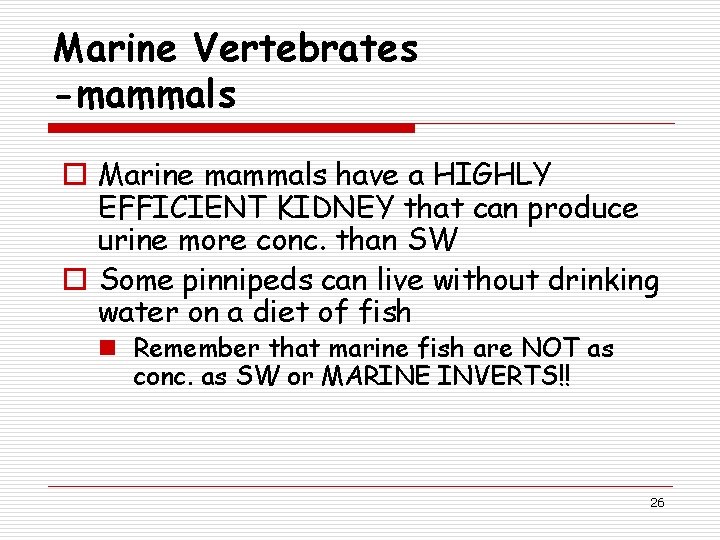 Marine Vertebrates -mammals o Marine mammals have a HIGHLY EFFICIENT KIDNEY that can produce