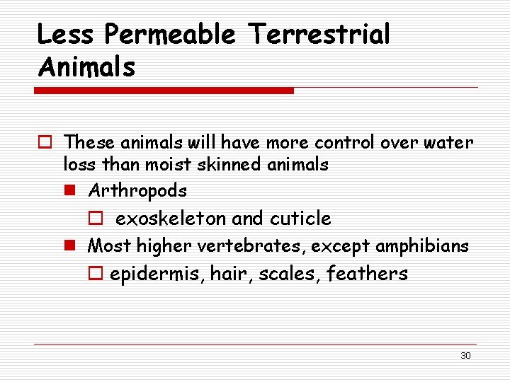 Less Permeable Terrestrial Animals o These animals will have more control over water loss