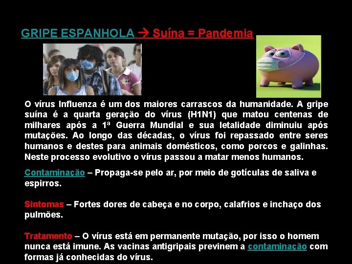 GRIPE ESPANHOLA Suína = Pandemia O vírus Influenza é um dos maiores carrascos da