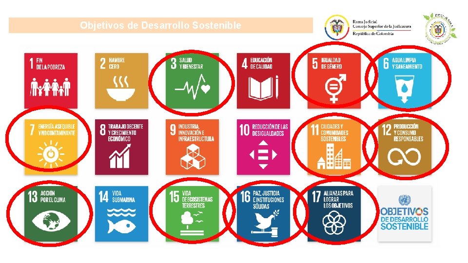 Objetivos de Desarrollo Sostenible 