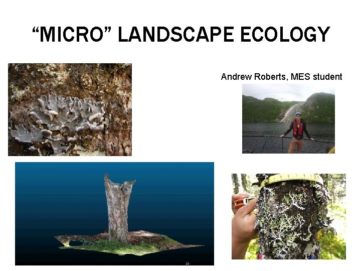 “MICRO” LANDSCAPE ECOLOGY Andrew Roberts, MES student 