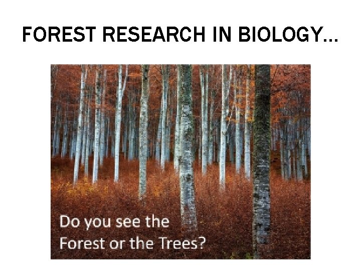 FOREST RESEARCH IN BIOLOGY… 