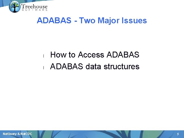 ADABAS - Two Major Issues l l Nat. Query & Nat. CDC How to