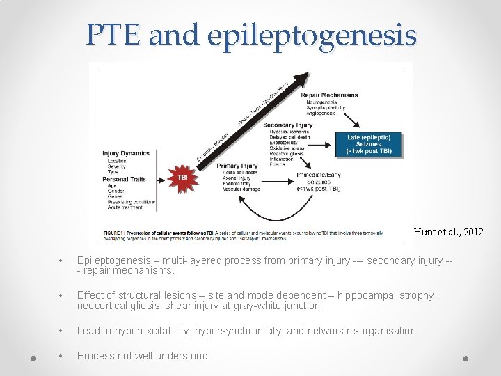 PTE and epileptogenesis Hunt et al. , 2012 • Epileptogenesis – multi-layered process from