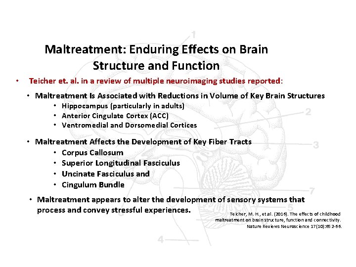 Maltreatment: Enduring Effects on Brain Structure and Function • Teicher et. al. in a