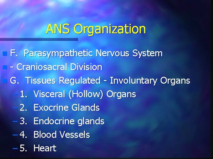 ANS Organization F. Parasympathetic Nervous System n - Craniosacral Division n G. Tissues Regulated