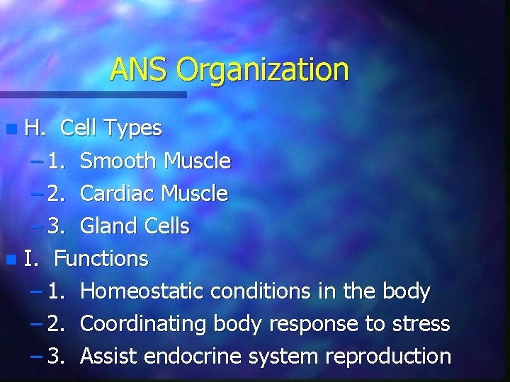 ANS Organization H. Cell Types – 1. Smooth Muscle – 2. Cardiac Muscle –