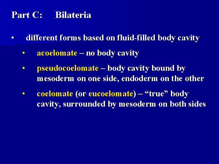 Part C: • Bilateria different forms based on fluid-filled body cavity • acoelomate – Part C: • Bilateria different forms based on fluid-filled body cavity • acoelomate –
