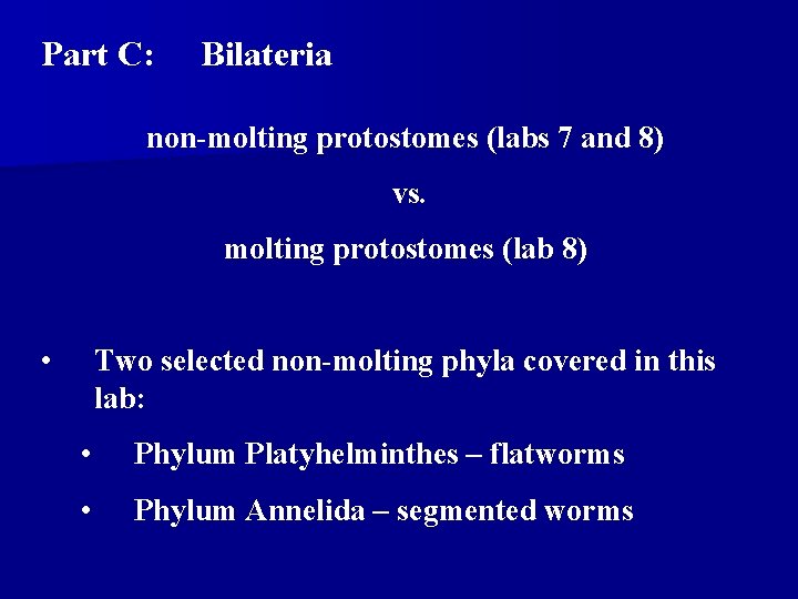 Part C: Bilateria non-molting protostomes (labs 7 and 8) vs. molting protostomes (lab 8) Part C: Bilateria non-molting protostomes (labs 7 and 8) vs. molting protostomes (lab 8)