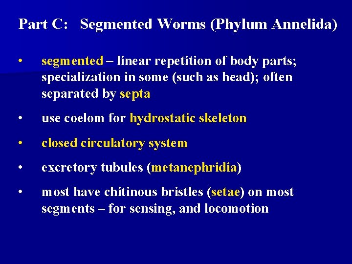 Part C: Segmented Worms (Phylum Annelida) • segmented – linear repetition of body parts; Part C: Segmented Worms (Phylum Annelida) • segmented – linear repetition of body parts;