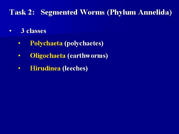 Task 2: Segmented Worms (Phylum Annelida) • 3 classes • Polychaeta (polychaetes) • Oligochaeta Task 2: Segmented Worms (Phylum Annelida) • 3 classes • Polychaeta (polychaetes) • Oligochaeta