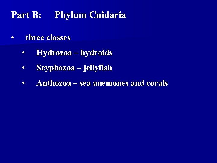 Part B: • Phylum Cnidaria three classes • Hydrozoa – hydroids • Scyphozoa – Part B: • Phylum Cnidaria three classes • Hydrozoa – hydroids • Scyphozoa –