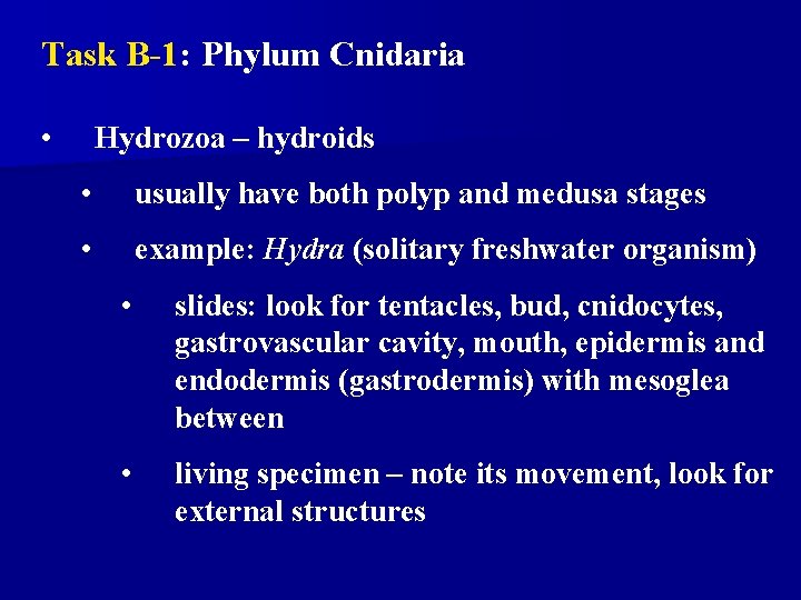 Task B-1: Phylum Cnidaria • Hydrozoa – hydroids • usually have both polyp and Task B-1: Phylum Cnidaria • Hydrozoa – hydroids • usually have both polyp and