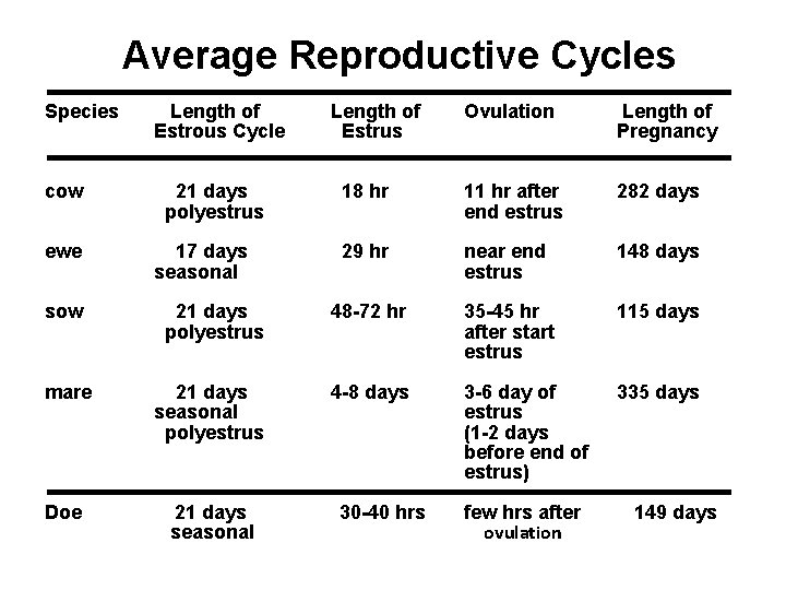 Average Reproductive Cycles Species cow ewe Length of Estrous Cycle 21 days polyestrus 17