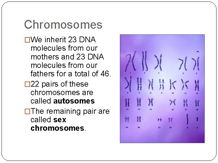 Chromosomes �We inherit 23 DNA molecules from our mothers and 23 DNA molecules from