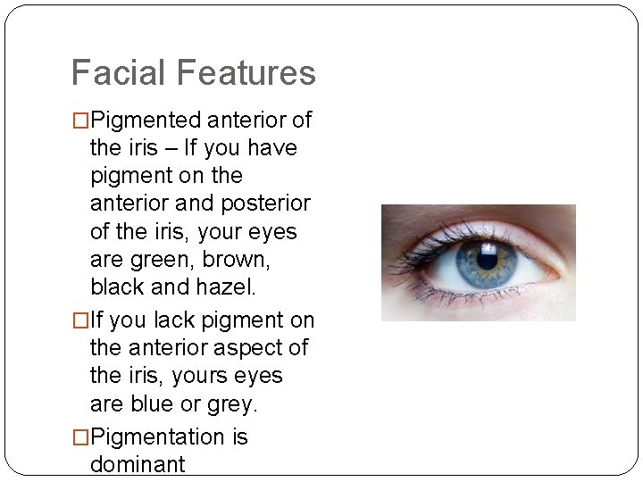 Facial Features �Pigmented anterior of the iris – If you have pigment on the