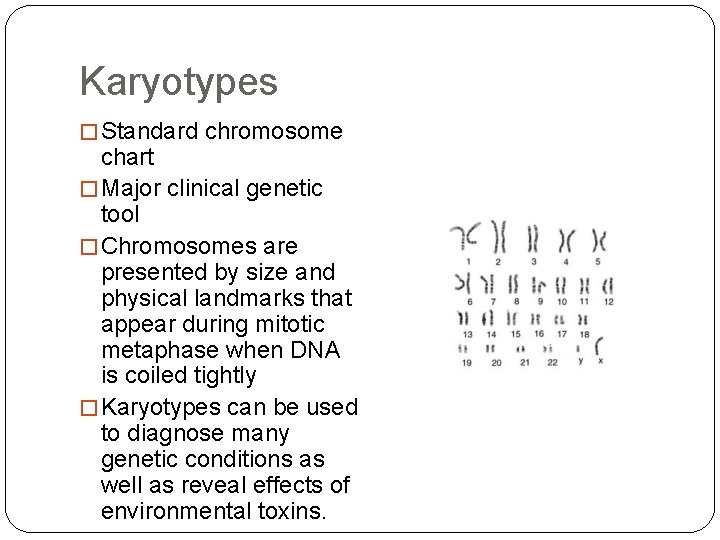 Karyotypes � Standard chromosome chart � Major clinical genetic tool � Chromosomes are presented