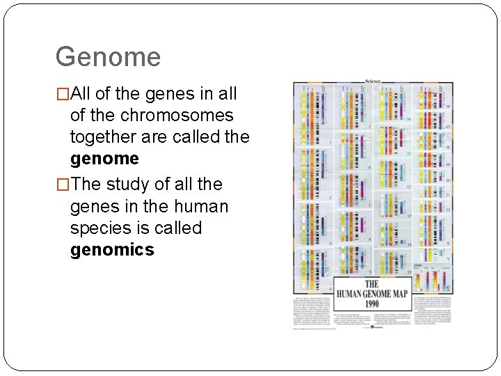 Genome �All of the genes in all of the chromosomes together are called the