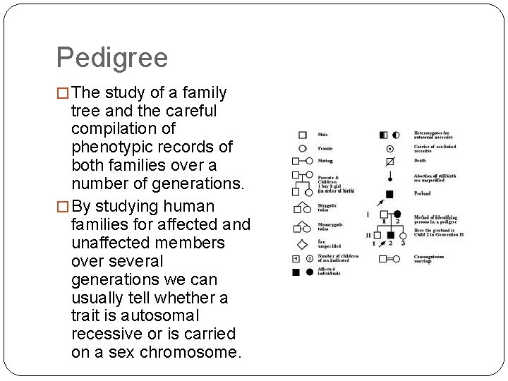 Pedigree � The study of a family tree and the careful compilation of phenotypic