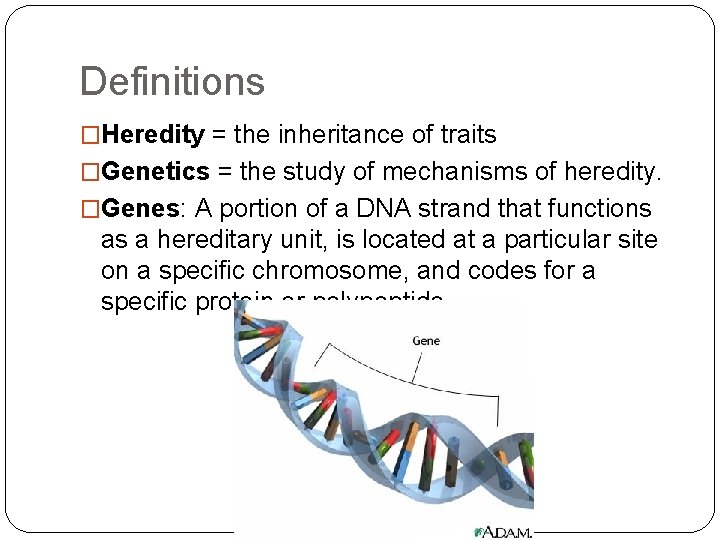 Definitions �Heredity = the inheritance of traits �Genetics = the study of mechanisms of