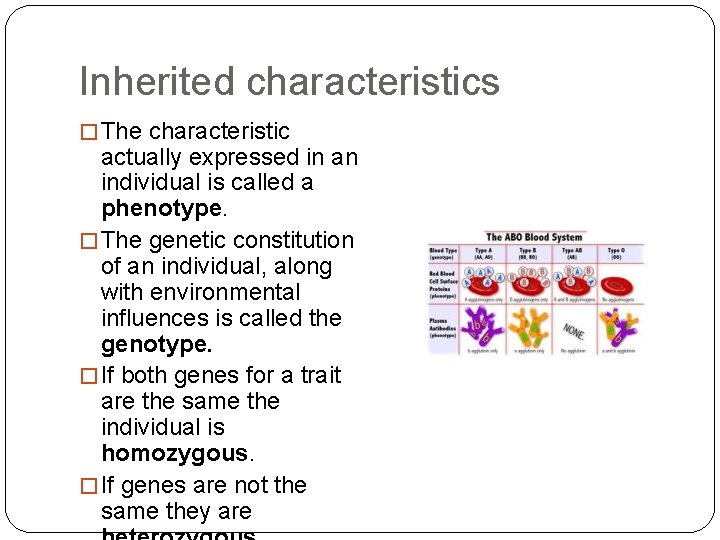 Inherited characteristics � The characteristic actually expressed in an individual is called a phenotype.
