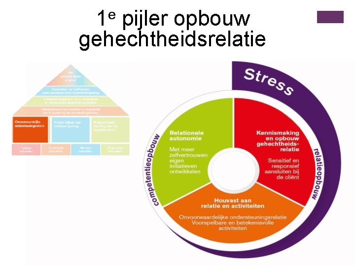 1 e pijler opbouw gehechtheidsrelatie 