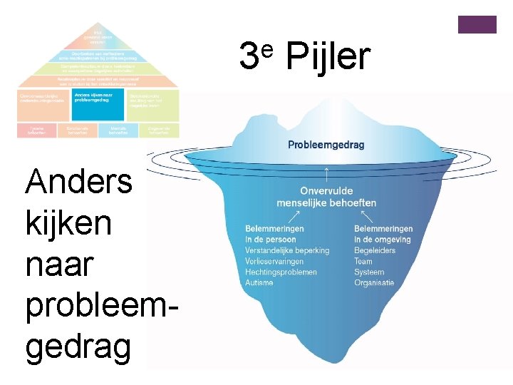 e 3 Pijler Anders kijken naar probleemgedrag 