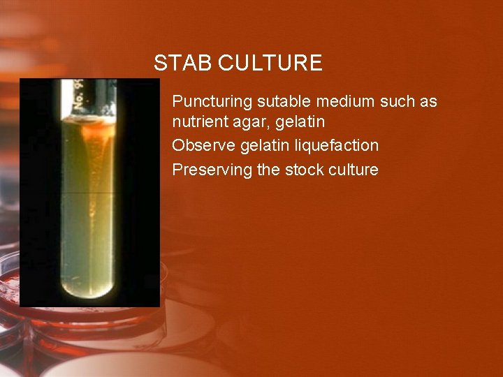 STAB CULTURE • Puncturing sutable medium such as nutrient agar, gelatin • Observe gelatin