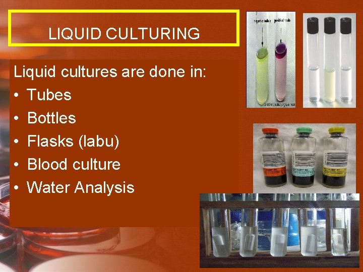 LIQUID CULTURING Liquid cultures are done in: • Tubes • Bottles • Flasks (labu)