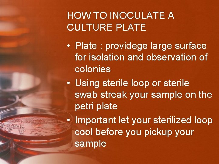 HOW TO INOCULATE A CULTURE PLATE • Plate : providege large surface for isolation