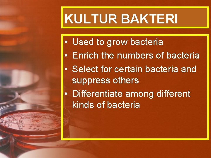 KULTUR BAKTERI • Used to grow bacteria • Enrich the numbers of bacteria •