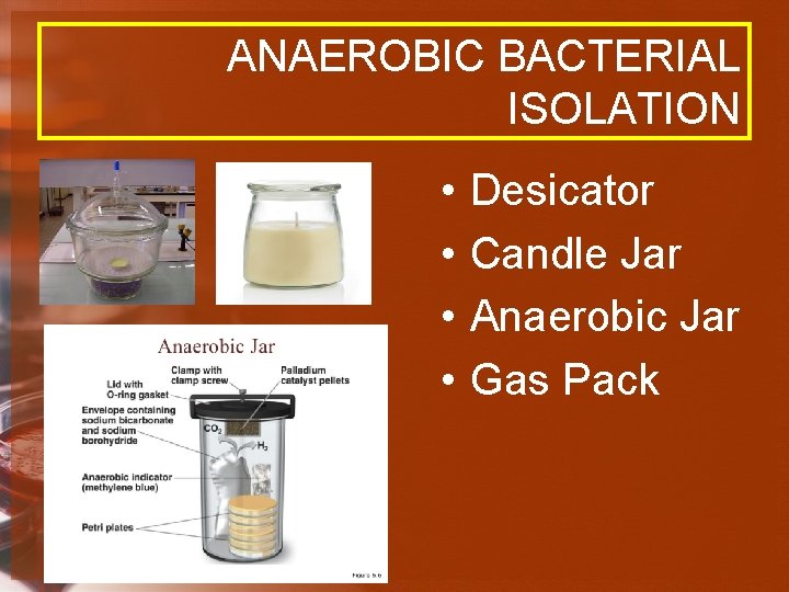 ANAEROBIC BACTERIAL ISOLATION • • Desicator Candle Jar Anaerobic Jar Gas Pack 