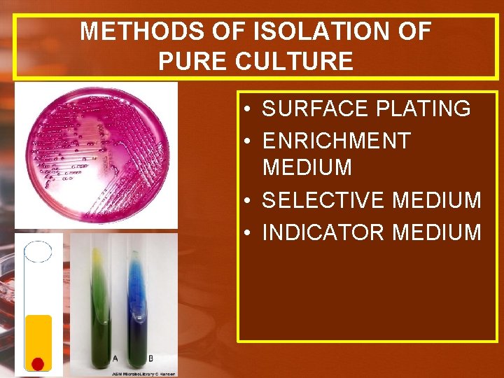 METHODS OF ISOLATION OF PURE CULTURE • SURFACE PLATING • ENRICHMENT MEDIUM • SELECTIVE