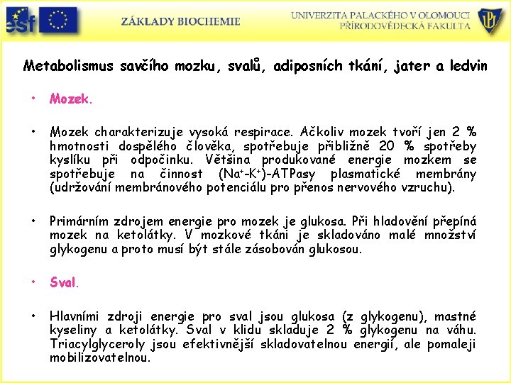 Metabolismus savčího mozku, svalů, adiposních tkání, jater a ledvin • Mozek charakterizuje vysoká respirace.