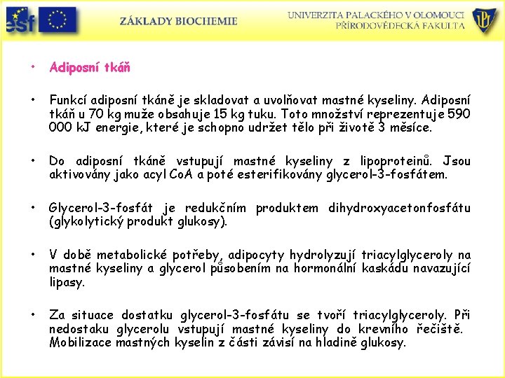  • Adiposní tkáň • Funkcí adiposní tkáně je skladovat a uvolňovat mastné kyseliny.