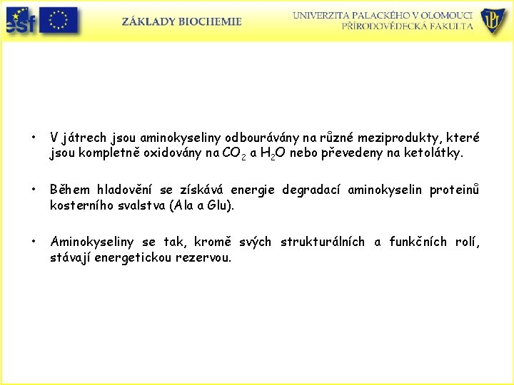  • V játrech jsou aminokyseliny odbourávány na různé meziprodukty, které jsou kompletně oxidovány