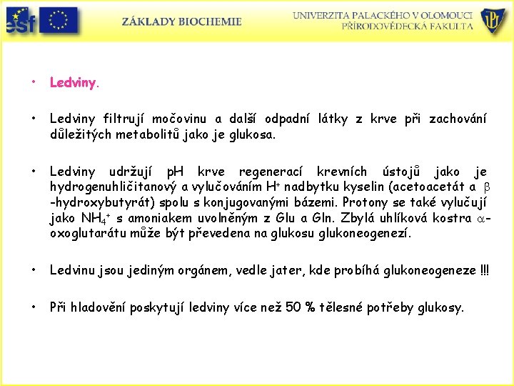 • Ledviny filtrují močovinu a další odpadní látky z krve při zachování důležitých