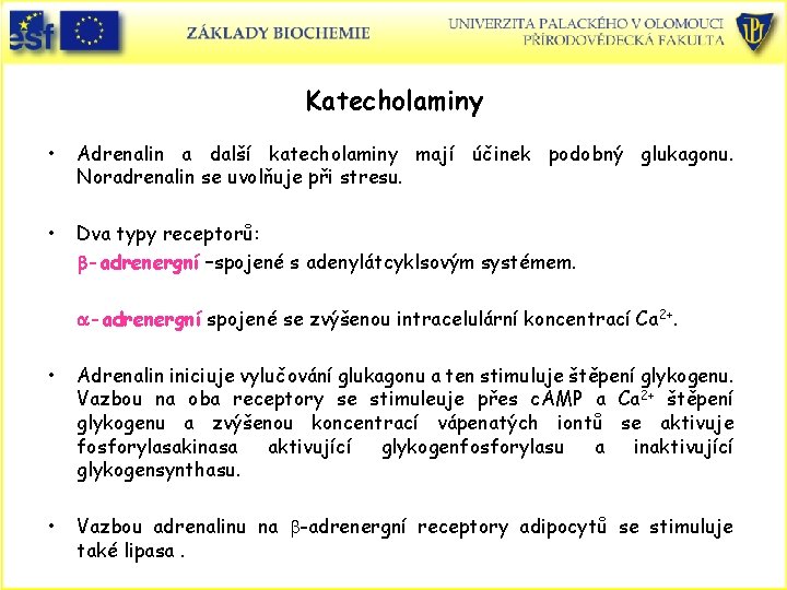 Katecholaminy • Adrenalin a další katecholaminy mají účinek podobný glukagonu. Noradrenalin se uvolňuje při