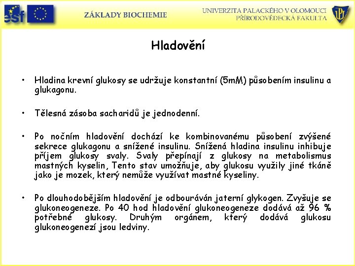 Hladovění • Hladina krevní glukosy se udržuje konstantní (5 m. M) působením insulinu a